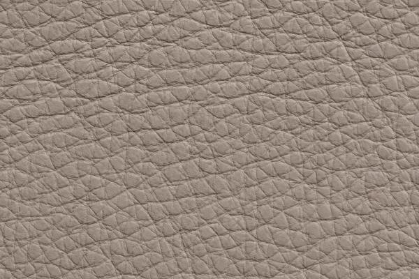 SKÓRA PERFOR-MAX 207 TAUPE
